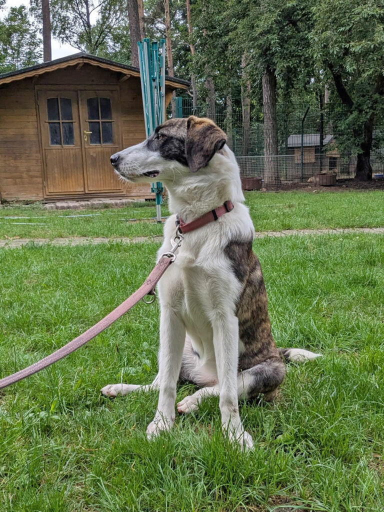 2025-05-04 Coco2 FB