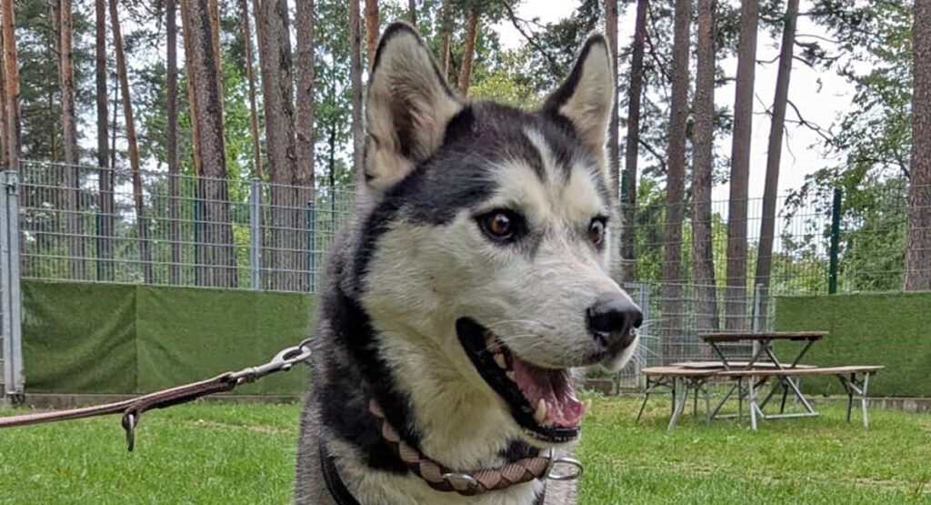 2025-06-17 Zeus5 BB
