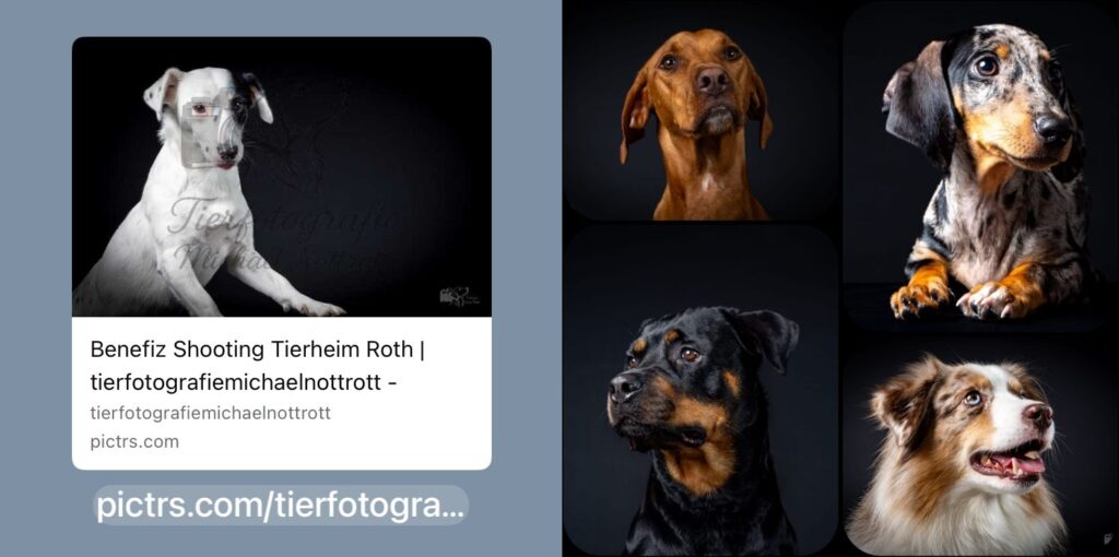 2025-09-25 Beitragsbild 2